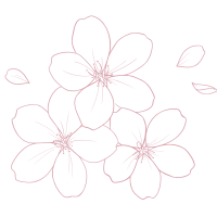 coach vie Rennes Bretagne