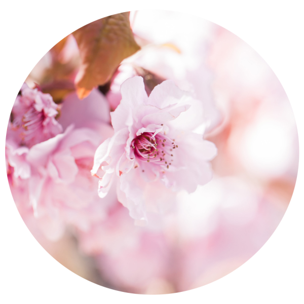 coaching entrepreneures sensibles